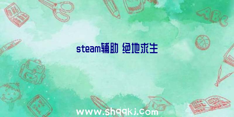 steam辅助